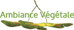 Ambiance Végétale - Paysagiste